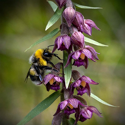 MAREN TALBOT TROGHT 2025