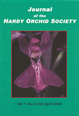 Anacamptis robusta