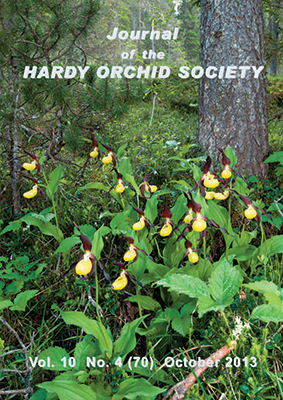 Cypripedium calceolus