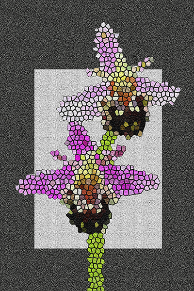 Ophrys apifera (stained glass)