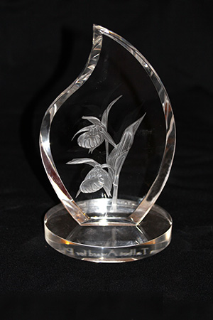 maren talbot trophy